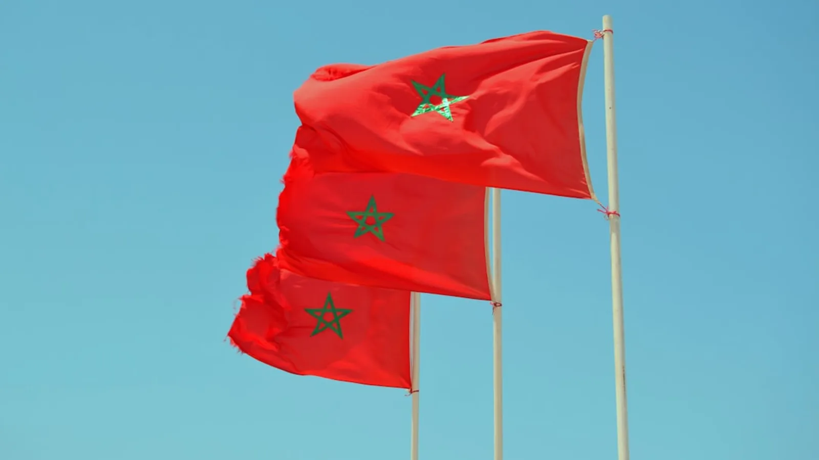 Guide de l'assurance pour les véhicules de location au Maroc