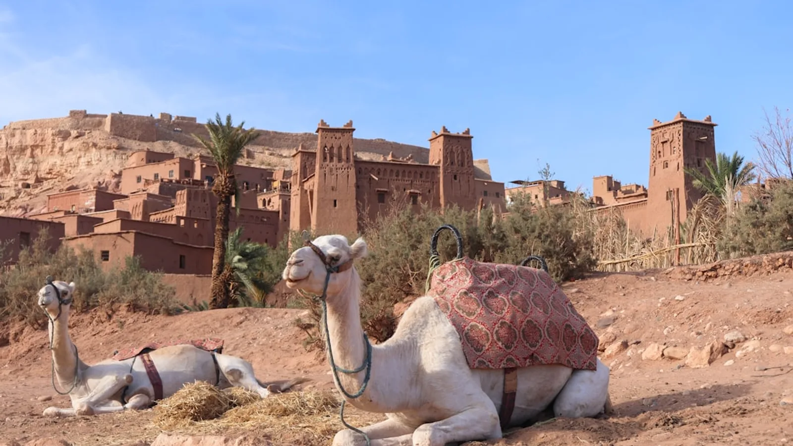 Guide 4x4 désert du Maroc